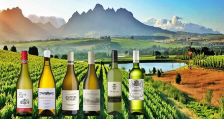 Proefpakket witte wijnen Zuid Afrika 6 flessen