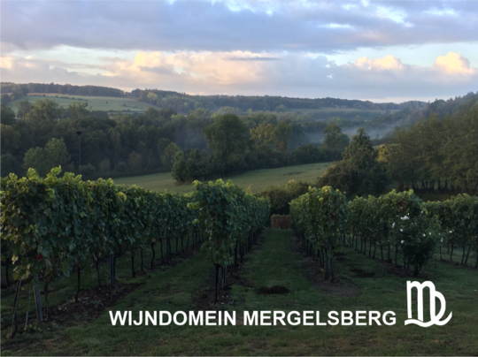 Wijndomein-Mergelsberg