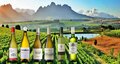 Proefpakket-witte-wijnen-Zuid-Afrika-6-flessen